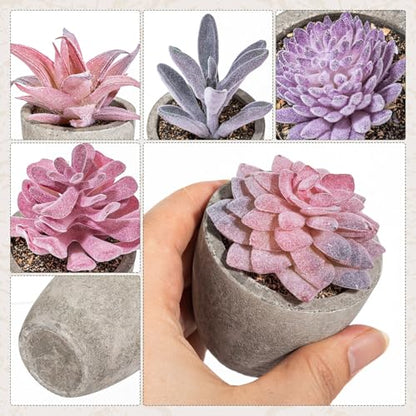 Set of 6 Artificial Succulents Potted - Realistic Mini Fake Cactus Plants in Paper Pulp Pots, 2-4'' Mixed Sizes for Farmhouse Shelf, Bathroom, Coatrack Shelf, Bedroom Indoor(Elegant Style) - style: Elegant Style