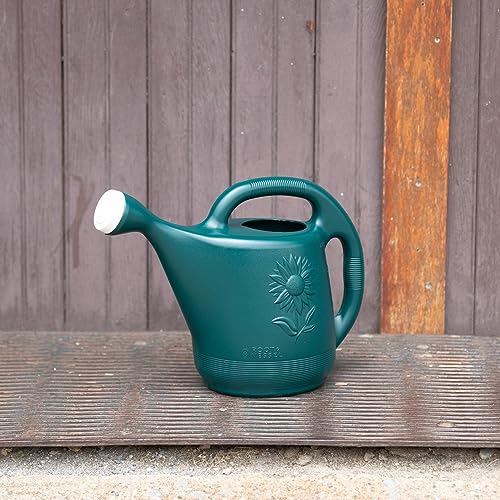 Root & Vessel 30301 Watering Can,2-Gallon,Hunter Green,(Pack of 12) - size: 2 Gallon (Pack of 12)