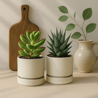 Phoenix Vine 4 Inch Planter Pot with Drainage Hole & Saucer, Deep Water Catch Tray, Straight Cylindrical Round Pot for Plants, Oatmeal, Pack of 6, 23-E-R-6 - color: Oatmeal, size: 4" (6 Pack)