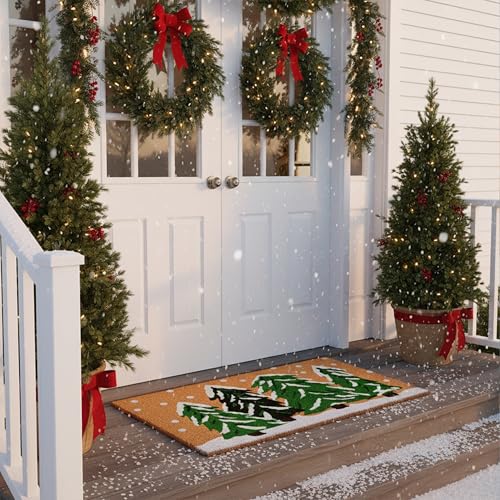 Calloway Mills 122251729 Winter Wonderland Doormat, 17" x 29", Multicolor - size: 1'5" x 2'5" (Rectangular)