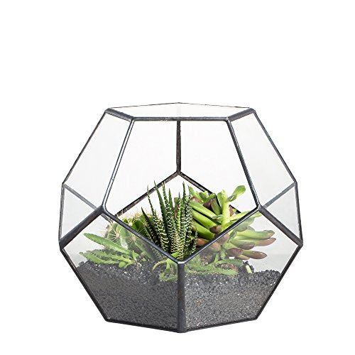 NCYP Small No Door Terrarium Planter - 6.8" x 6.8" x 5.9" Open Geometric Glass Terrarium Pot for Mini Succulents, Small Cactus - Home Tabletop Miniature Decor, Black (No Plants) - color: Black