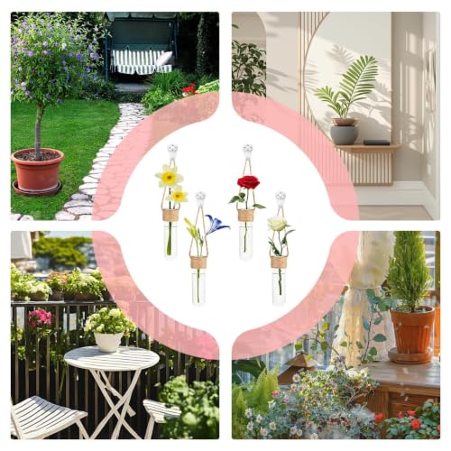 Propagation Tube, with Wall Mounted Design, 4 Piece Glass Plant Tubes | Clear Wall Terrarium, Hydroponic Plant Holder, for Home Décor