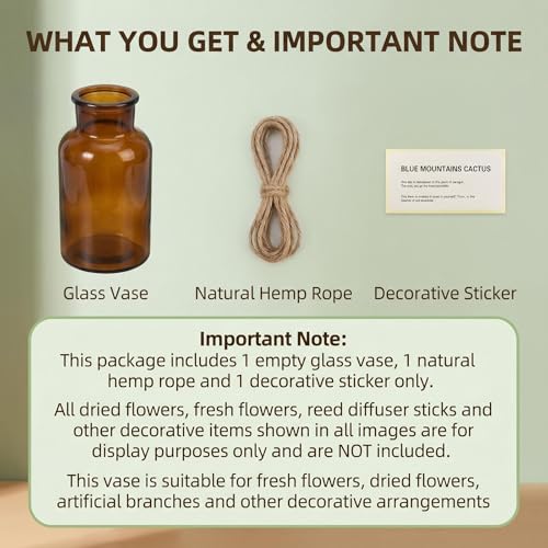 6.38 Inch 17oz Clear Glass Vase, Wide Mouth Flower Vase with Hemp Rope | Thickened Glass Body, Natural Hemp Rope, Smooth Wide Mouth, Stable Base, DIY Sticker Included, 2 Color Options - color: Amber