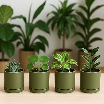 D'vine Dev 4-Pack Ceramic Pots with Saucers, Olive, 3.5 in, 94-X-A-0 | Glazed Ceramic, Drainage Hole and Saucer, Sleek Cylinder Shape, High Temperature Fired, Ideal for Small Houseplants - color: Olive, size: 3.5 Inch