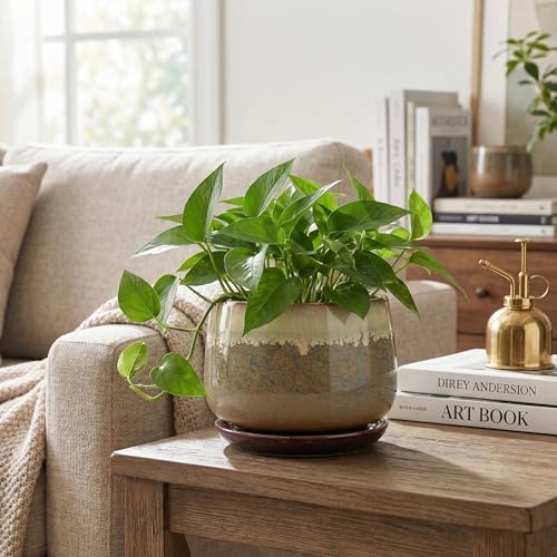 Ceramic Pots for Plants - 6 Inch Plant Pot Indoor with Drainage and Saucer, Round Planters for Succulent Snake Plants, Decorative Flower Pot, Home Decor, Plant Lover Gifts, Brown-Beige