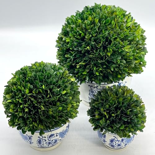 Galt International 7" Naturally Preserved Real Boxwood Ball in Hand-Painted Blue & White Round Bulb China Pot Planter Green Indoor Plant Home Decor (Small 7" Tall Topiary) - size: Small 7" Round Pot