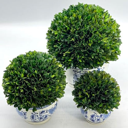 Galt International 11" Naturally Preserved Real Boxwood Ball in Hand-Painted Round Bulb Blue & White China Pot Planter Green Indoor Plant Home Decor (11" Topiary) - size: Large 11" Round Pot