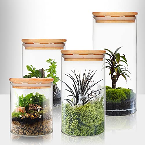 DHSBTLS 9 Pack 12 oz Glass Jars with Airtight Bamboo Lids for Kitchen | 340 ml Pantry Organization Jar, Glass Terrarium with Lid, Spice, Flour and Sugar Container, Canister Set for Kitchen Counter