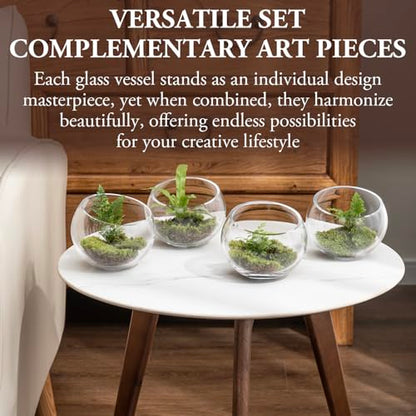 MyGift 5 Inch Clear Glass Round Bowl Air Plant Terrariums, Set of 4 | Versatile glass vessels showcase plants, candles, and decorative accents for weddings, events, shelves, and tabletop displays - size: Set of 4 (Round)