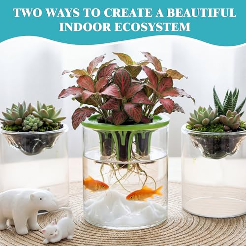 3 Sets Hydroponic Planter Pot Kit Plant Propagation Station Vase Terrarium Glass Planter Indoor Self Watering Planters Herb Garden Kit for Seed Starting Root Monitoring Garden