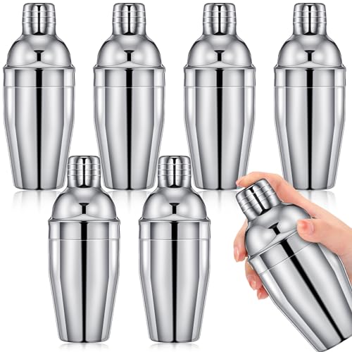 Nitial 6 Pcs Bar Cocktail Shaker Professional Stainless Steel Martini Drink Mixer with Built-in Strainer for Bartending No Leaks Boston Shaker for Bar Party Drink Mixing Tool(11.8 oz,Silver) - color: Silver, size: 11.8 oz