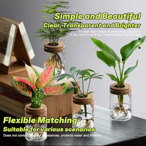 6 PCS Glass Plant Propagation Station for Plants Set Desktop Hydroponic Vases for Succulent Cuttings, Home Office Decoration, Desktop Planter Jars Being Able to Clearly See How Roots Develop