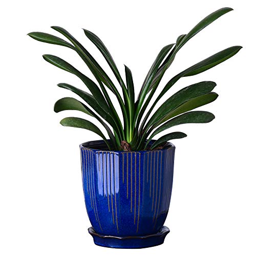 ADN 6inch Navy Ceramic Planter Pot with Drainage Hole and Saucer | Modern Indoor Outdoor Samll Decorative Planter Pot, for Home,Garden,Office Gift; 6/8/10 inch - color: Navy, size: 6 in