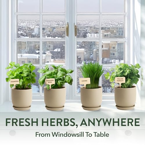 HOME GROWN Indoor Organic Herb Garden Kit, Unique Valentines Day Gift for Adults, Men, & Women,Grow 4 Herb Seeds for Kitchen Window Garden,Beginner DIY Hobby Gardening for Plant Lovers, Mom & Dad - style: Starter Organic Grow Herb Kit