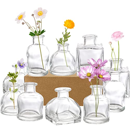 Set of 10 Small Glass Flower Vases, Clear Glass Bud Vases, Decorative Rustic Floral Vases, Mini Table Floral Vase for Home Decor Centerpieces, Events, Vintage Look
