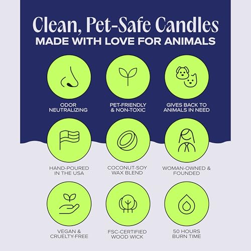 Nostalgia Pet-Friendly Scented Candle – Spicy Amber & Soft Floral Fragrance, Coconut Soy Wax with Wooden Wick, Approx. 50-Hour Burn Time, Made in USA, 11.8 oz - color: Nostalgia