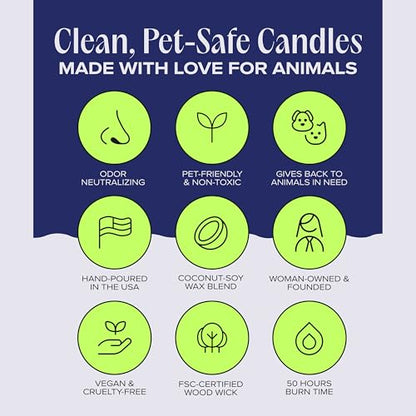 Nostalgia Pet-Friendly Scented Candle – Spicy Amber & Soft Floral Fragrance, Coconut Soy Wax with Wooden Wick, Approx. 50-Hour Burn Time, Made in USA, 11.8 oz - color: Nostalgia