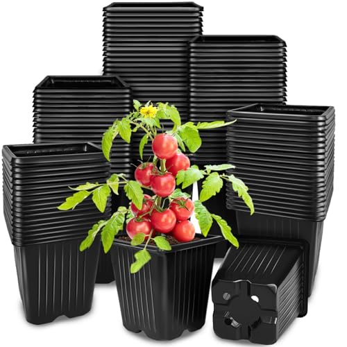 Anyumocz 100Pcs Square Plant Nursery Pots,3.5 Inch Plastic Pots with Drainage Holes,Reusable Seed Starter Pots for Flowers,Vegetables,Garden Planting,Transplanting,Succulents,Cuttings(Black) - color: 100pcs Black