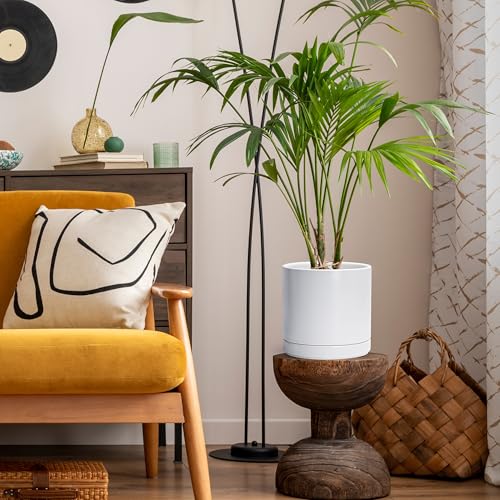 D'vine Dev 8.2 Inch Ceramic Planter Pot, White, 94-O-D-1 | Modern Cylinder Design, Drainage Hole & Saucer Included, Stable Structure, Elegant Home Accent - color: White, size: Medium