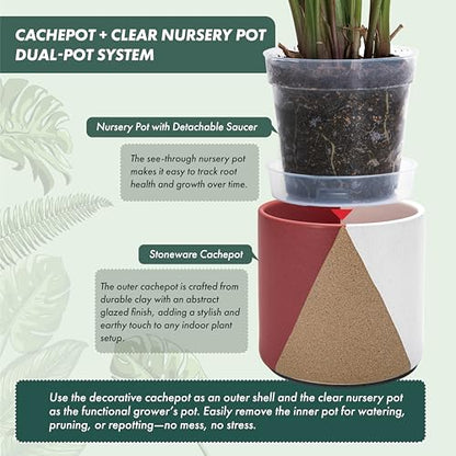 D'vine Dev 2-Pack Cachepot with Clear Pot, 6.5 in, Crimson Dune, 93-V-C-4 | Dual-Pot System, Root Visibility, Bottom Watering Support, Enhanced Drainage, Artistic Stoneware Design, Easy Plant Care - color: Crimson Dune, size: 6.5” Cachepot + 6“ Clear Grow