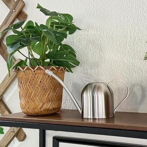 IMEEA Small Watering Can for Indoor Plants, Stainless Steel with Long Spout, 15oz/450ml – Perfect for Desk, Windowsill & Bonsai - color: 15oz (Silver)