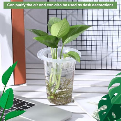 36 Pcs Plastic Plant Propagation Vase for Indoor Decor, 4.57'' | Clear Plastic Vase with Hydroponic Basket, Pet Material, Root Support Design, Easy Water Changes, Home Office Desktop Display - size: 4.57''
