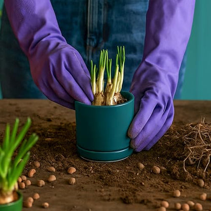 D'vine Dev 4-Pack Ceramic Pots with Saucers, Teal, 3.5 in, 94-X-A-9 | Glazed Ceramic, Drainage Hole and Saucer, Sleek Cylinder Shape, High Temperature Fired, Ideal for Small Houseplants - color: Teal, size: 3.5 Inch