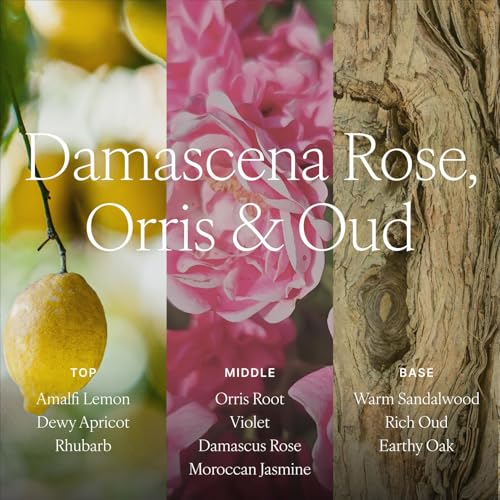 Antica Farmacista Home Ambiance Diffuser - Long-Lasting Reed Scent Diffuser - Luxury Room Freshener Gift - Damascena Rose, Orris & Oud, 8.45 fl oz