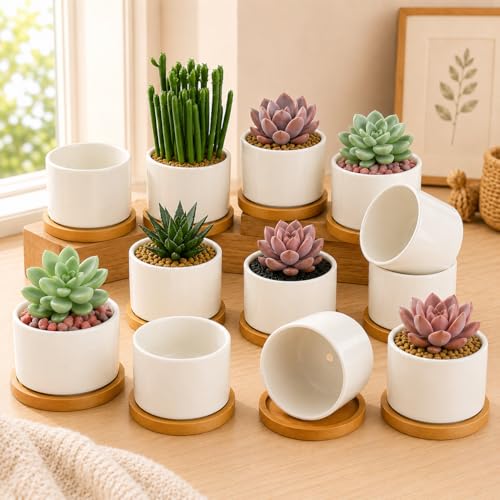 ZOUTOG 12 Pack Ceramic Succulent Pots,3.6 Inch Plant Pots,Succulent Planters with Drainage Hole & Bamboo Tray for Indoor Plants,White Small Flower Planters for Home,Office,Desk - size: 12 pack
