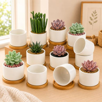 ZOUTOG 12 Pack Ceramic Succulent Pots,3.6 Inch Plant Pots,Succulent Planters with Drainage Hole & Bamboo Tray for Indoor Plants,White Small Flower Planters for Home,Office,Desk - size: 12 pack