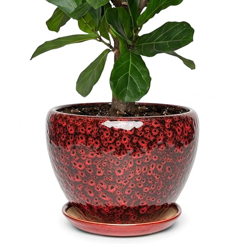 11 Inch Ceramic Plant Pot with Drainage Hole Mesh Net, Large Gardening Pots for Indoor Plants with Saucer, Speckle Red - color: Peacock Red, size: 11 Inch