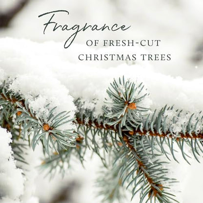 Thymes Frasier Fir Candle - Gilded Collection - Wood Grain Ceramic Design with 24-Karate Gold Rim - Mountain Fresh Fragrance - Elegant Winter Candle Scents - Gifts for Women & Men (3-Wick, 20 oz) - size: 20 oz