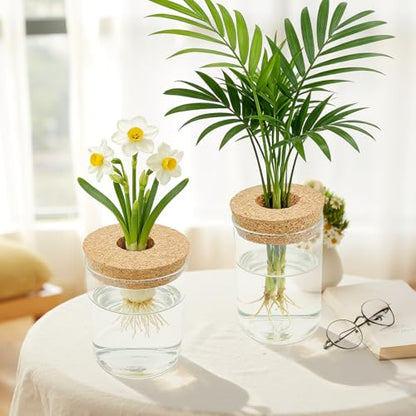 4 Pack Glass Plant Propagation Station,Desktop Vases for Home Office Decor | for Herb & Plant Cuttings, Fits Living Room Bedroom Office, Ideal Plant Lover Gift, Decorative Glass Planter Jars
