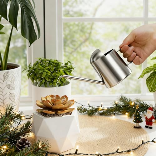 Bamworld Small Watering Can Indoor Outdoor Plant Black Metal Stainless Steel Long Spoutt Flowers Watering Cans for House Garden Plants 10OZ Watering Bottle Cute Stylish Gardening Decoration(Silver) - color: Silver