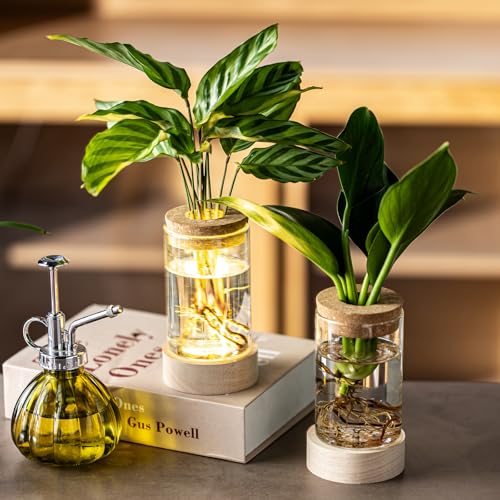 Glass Plant Propagation Stations, Propagation Vases for Plants with Ambient Light Base, Hydroponic Vase for Home & Office Windowsill Tabletop Decoration Desktop Vases for Living Room, Bedroom (9)