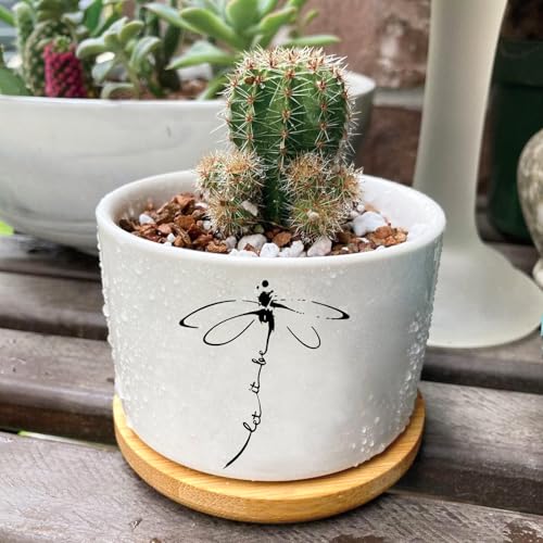 1Pcs Dragonfly Succulent Pots with Drainage and Bamboo Tray, Ceramic Pot | 3 Inch Small Planters for Plants,Cactus,Decoration for Office Home,Garden,Windowsill,Gifts for Women Mom (No Plants Included) - style: Dragonfly