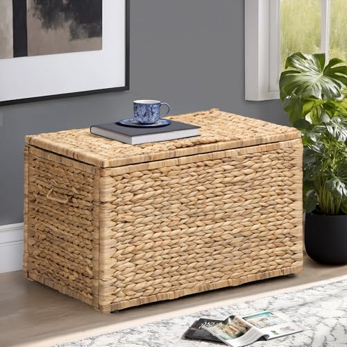 Storage Trunk with Metal Frame, Natural, 23.3 by 16.5 by 15.2 Inches | Safety Hinge, Heavy-duty Wicker Chest, Handwoven Water Hyacinth - color: Natural (Hyacinth), size: 23.3" x 16.5"