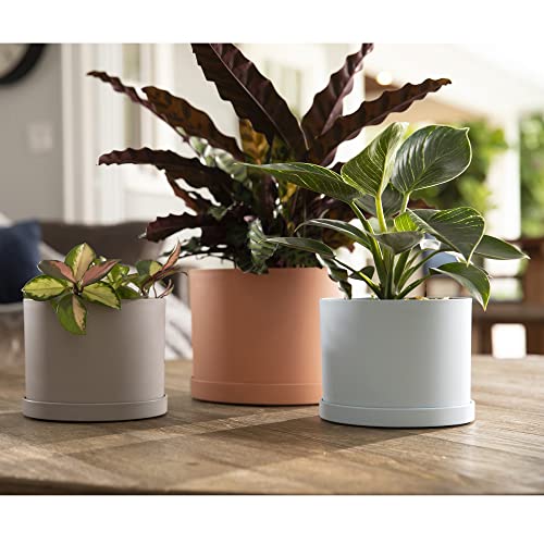 Bloem Mathers Planter w/Saucer Tray 8" Misty Blue (Pack of 3) - color: Misty Blue, size: 8" (Pack of 3)
