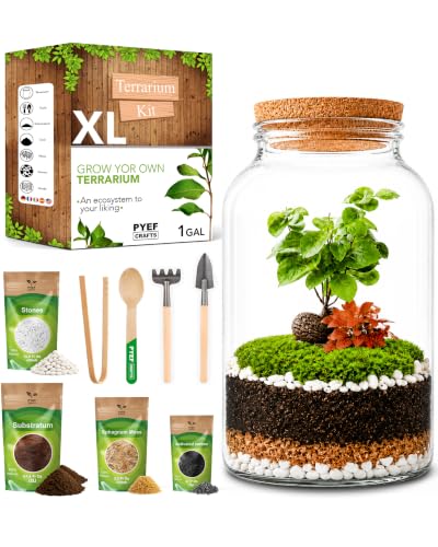 Terrarium Kit for Plants DIY (1 Gallon) | Starter Pack – Closed Ecosystem – 1 Gal Glass – Succulents, Air Plants, Bonsai, Indoor Plants – (Plants Not Included) - size: 1 Gallon