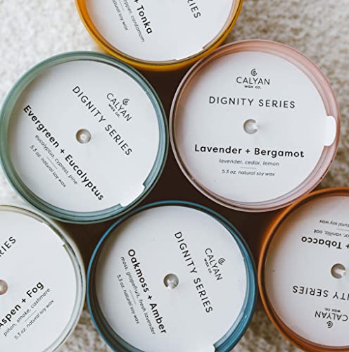 Dignity Series Scented Candle Gift Set - 6 Soy Wax Candles | 35 Hour Burn - Made in the USA Luxury Clean Soy Wax Candles - Long Lasting Colorful Ceramic Jar Candle for Home - 5.3oz - color: Gift Set