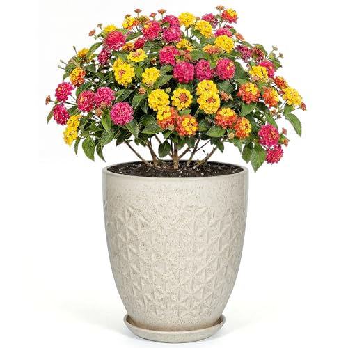 9.5 Inch Flower Pots for Indoor Plants,Ceramic Planter with Saucer Drainage Leak-Proof Mesh Gardening Gloves(Silk-White) - color: Silk-white, size: 9.5 Inch
