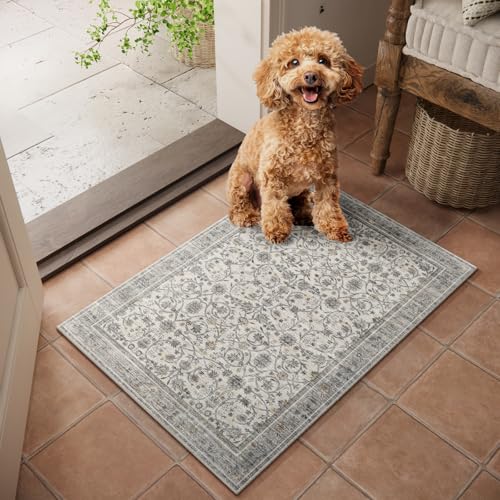 Washable Small Area Rugs for Entryway: 2x3 Door Mat Indoor Entrance | Boho Rug,Vintage Distress,Non-Slip,Low Pile,Soft,Throw,Carpet,Bathroom,Kitchen,Hallway,Nursery,Bedroom,Farmhouse Decor - color: Beige/Grey/Multi, size: 2' x 3' (Rectangular)