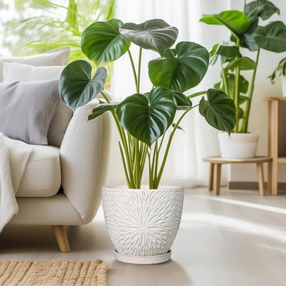 G EPGardening 10 Inch Ceramic Planter Pot, White | Drainage Hole and Saucer, Large Plant Pot, Indoor Plants Outdoor, Round Flower Pot, For Home Garden Office - size: 10 Inch