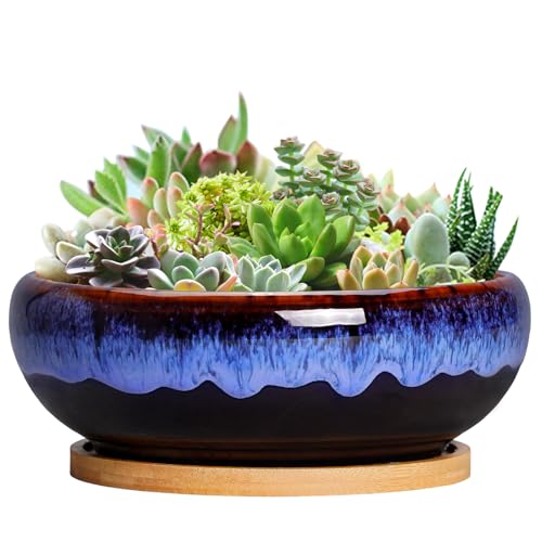 SQOWL 7 Inch Round Ceramic Succulent Planter Pot Drip Glazed Shallow Planter with Drainage Bamboo Tray for Indoor Plants - color: Black and Blue, size: 8 Inch