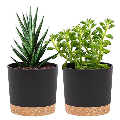 QCQHDU 5 inch Plant Pot, 2 Pack Planters for Indoor Plants with Drainage Holes & Saucer, Outdoor Flower Pots Home Garden Modern Decor - color: Dark Grey, size: 5 inch