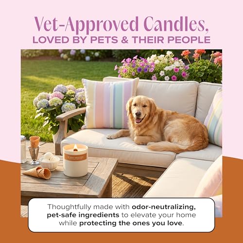 Sundae Snuggles Pet-Friendly Scented Candle – Vanilla Gelato & Waffle Cone Fragrance - Coconut Soy Wax Candle with Wooden Wick, Approx. 50-Hour Burn Time, Made in USA, 8 oz - color: Sundae Snuggles