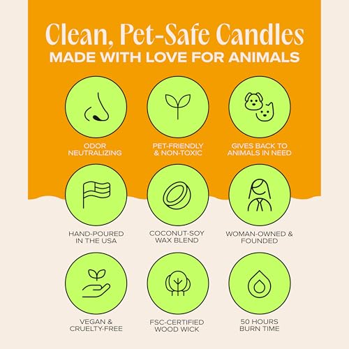 You Got This! Pet-Friendly Scented Candle – Tropical Nectar & Fruits Fragrance - Coconut Soy Wax Candle with Wooden Wick, Approx. 50-Hour Burn Time, Made in USA, 11.8 oz - color: You Got This!