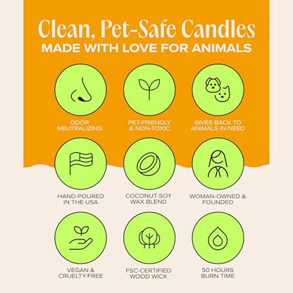 You Got This! Pet-Friendly Scented Candle – Tropical Nectar & Fruits Fragrance - Coconut Soy Wax Candle with Wooden Wick, Approx. 50-Hour Burn Time, Made in USA, 11.8 oz - color: You Got This!