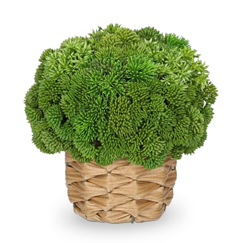 Briful Succulent Plants Artificial Small Faux Succulents Arrangement in Woven Basket Fake Silk Plants Indoor for Home Office Table Centerpiece Shelf Bathroom Decor - color: Green-small Rattan Basket