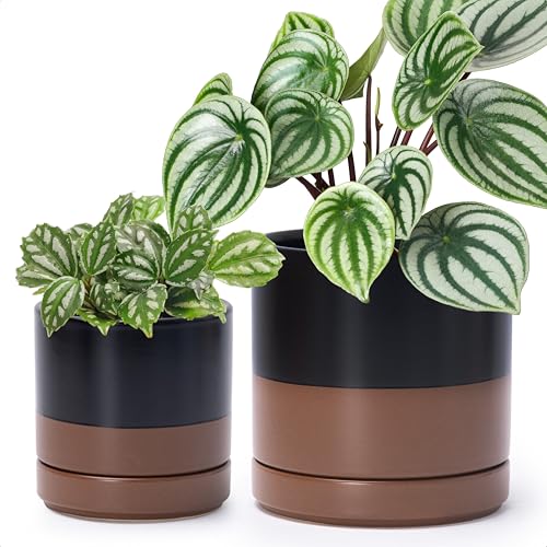 D'vine Dev 2-Pack Ceramic Pots with Saucers, Black/Tan, 4/6 in, 94-G-S-7 | Glazed Ceramic, Drainage Hole, Perfect-Fit Saucer, Sleek Cylinder Shape, High Temperature Fired, Elegant Home Accent - color: Black/Speckled Tan, size: Small